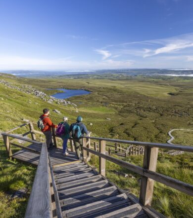 Cuilcagh Boardwalk, County Fermanagh, Northern Ireland.