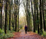 Cavan Burren Park 
