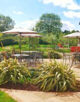 Garden playground Cavan