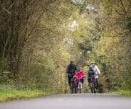 Discover Killykeen Forest Park
