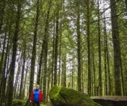 Explore Cavan Burren Park