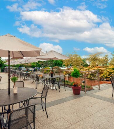 Patio Full view