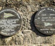 Turbet Island Motte & Bailey, Belturbet