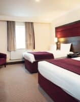 Standard Room red