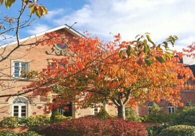 Autumn Breaks