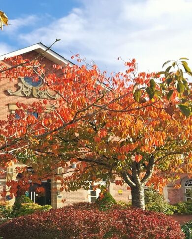 autumn-frontage-1920--x-1080