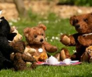 Bear Essentials